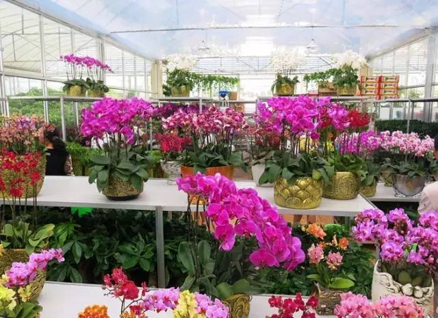 呕心整理!成都人年货采购地点最全攻略都在这!赶紧收藏!