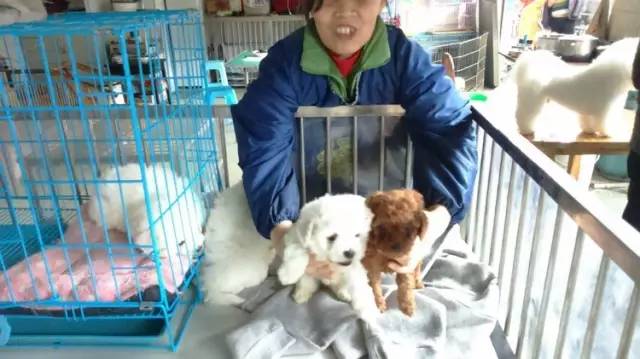 呕心整理!成都人年货采购地点最全攻略都在这!赶紧收藏!