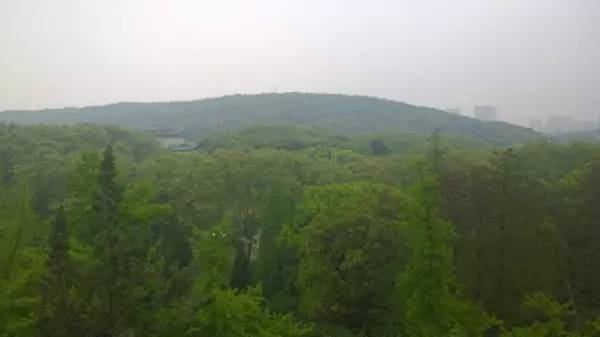 中国最美的大学武汉大学,中国最美大学武汉大学