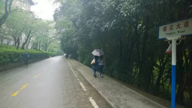 中国最美的大学武汉大学,中国最美大学武汉大学