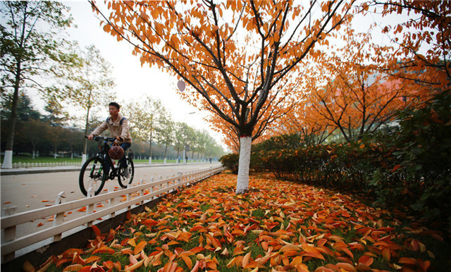 Word天！国际教育、城乡一体、学有优教……2020年的青岛教育太厉害！