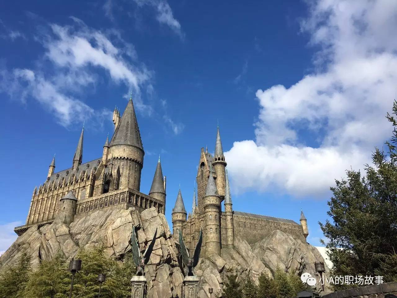 京都大阪北海道9天,大阪北海道东京攻略