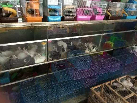 呕心整理!成都人年货采购地点最全攻略都在这!赶紧收藏!