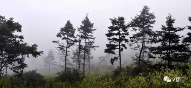 熊岳入选国家美丽宜居小镇示范，营口还有3个村榜上有名