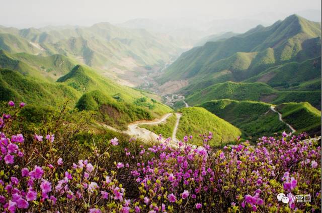 熊岳入选国家美丽宜居小镇示范，营口还有3个村榜上有名