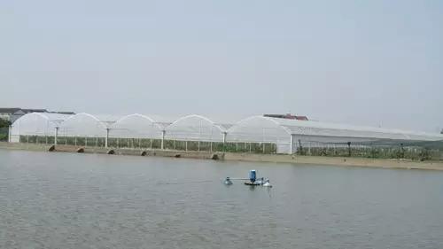 常州农家乐一日游最佳去处带娃,常州好玩的农家乐酒店