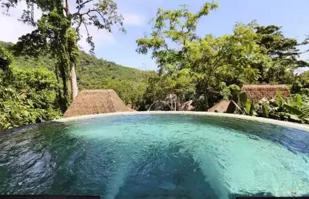 楦熷发搴﹀亣閰掑簵浣撻獙,闅愯棌鍦ㄥ師濮嬫．鏋楃殑娴峰崡楦熷发閰掑簵