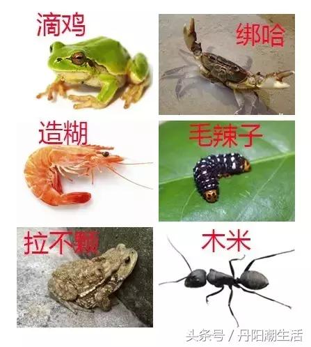 怎么看户口是否是城市户口,丹阳户口办理流程