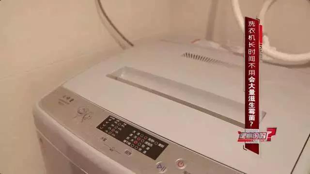 洗衣机内桶大曝光：看似干净的内桶会存在什么样的健康隐患呢？