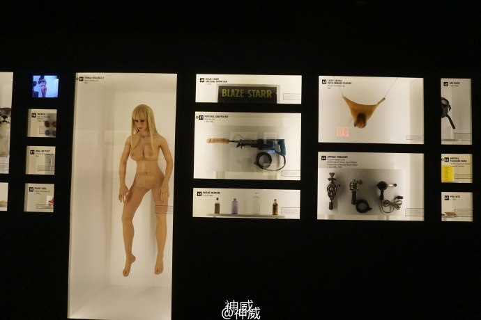 神会玩|XOXO，绯闻纽约的168小时享乐进行时