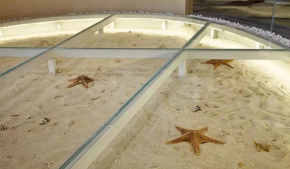 现代办公楼设计高级感,珠海现代简约办公楼会议室装修