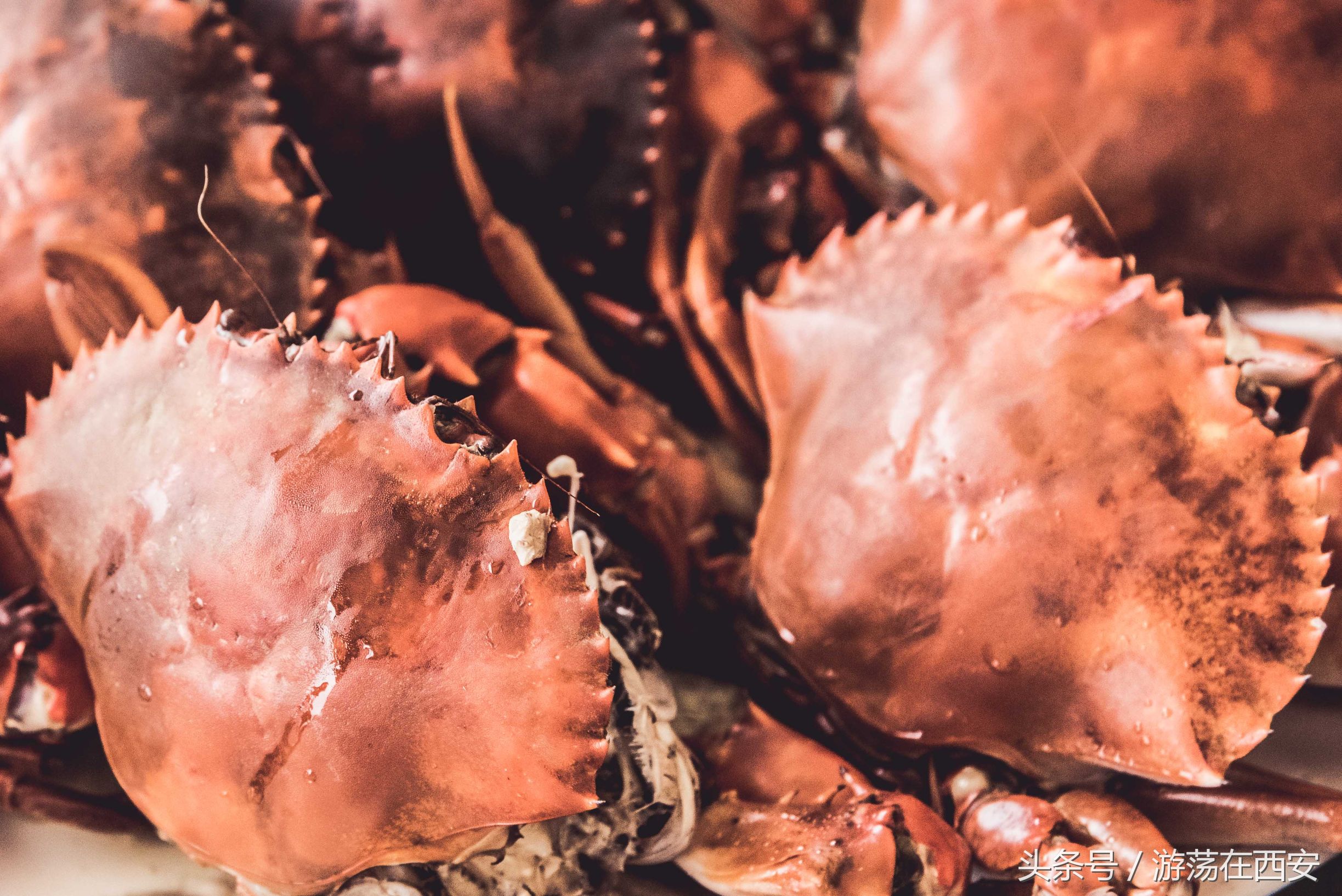 去海南怎么可能不去天涯海角,去海南不吃海鲜怎么办