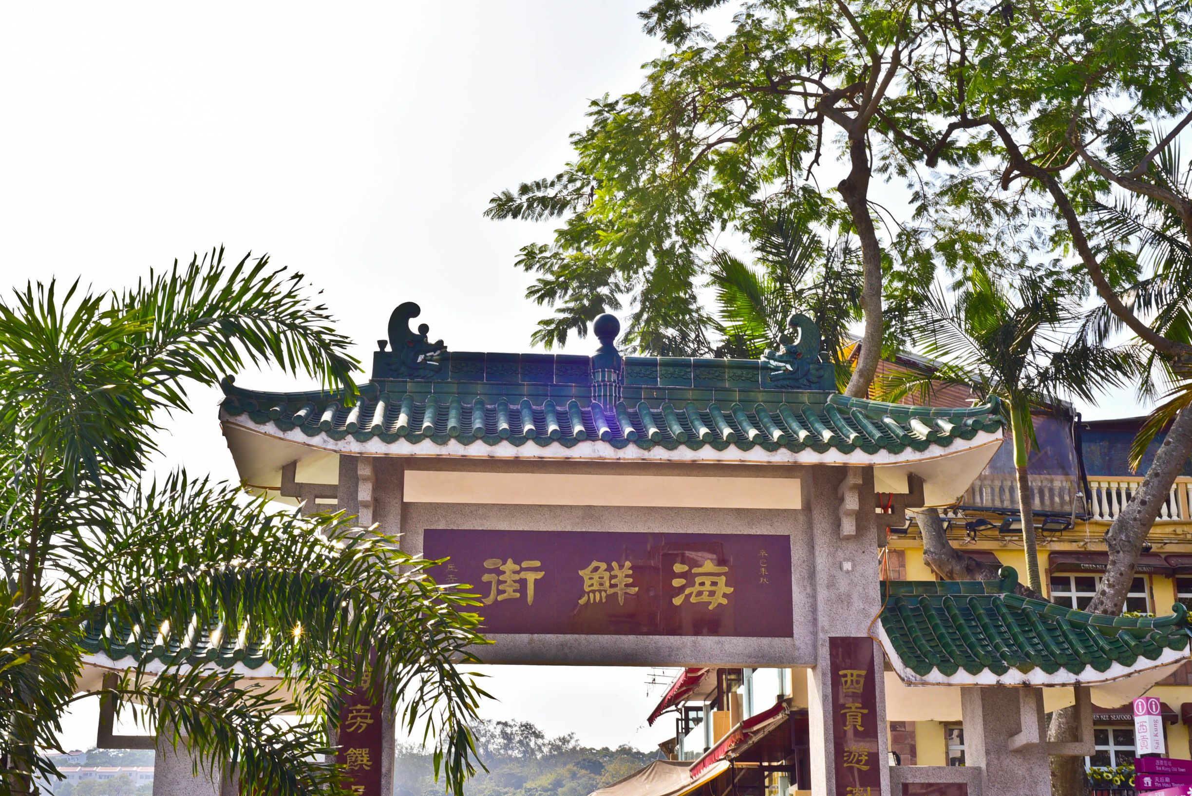 兔子游日本,兔子海边旅行记