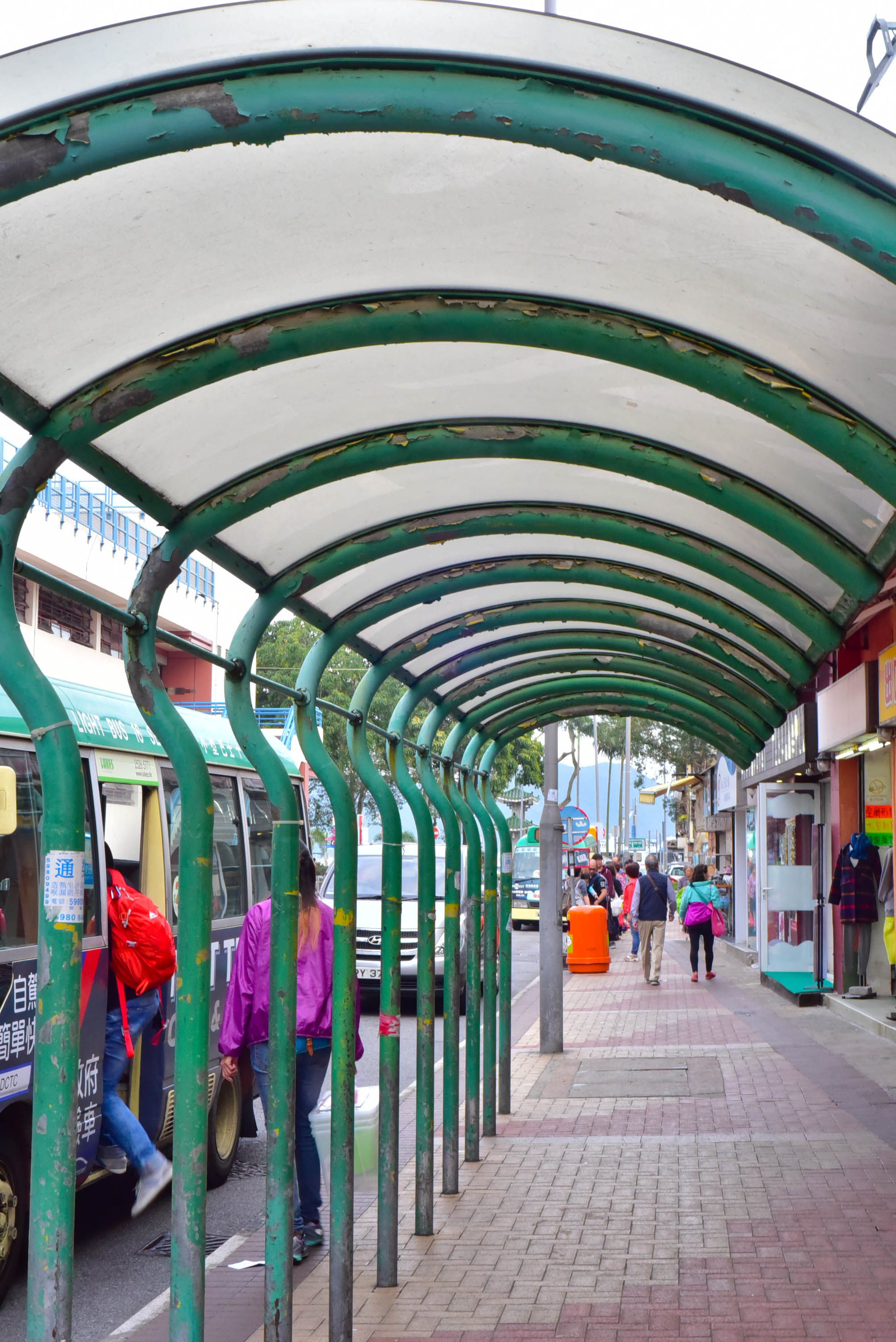 兔子游日本,兔子海边旅行记