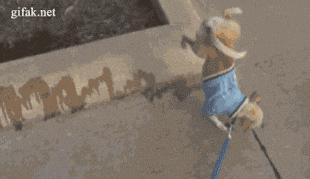 今天的沪深上证指数,沪深指数全天v型走势