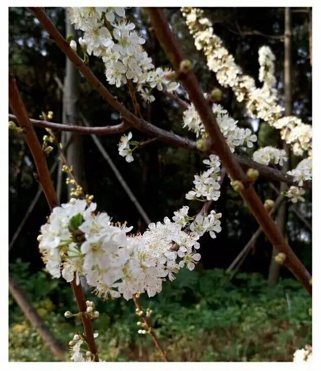 厦门可以爬的山有哪些地方,厦门这些景点你都去过吗