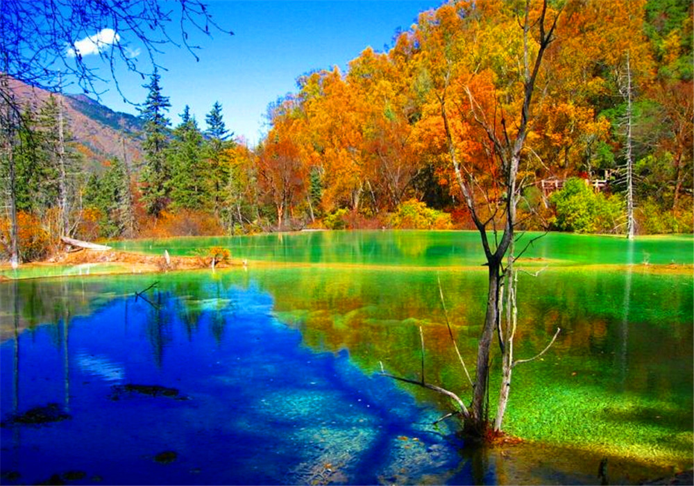 南方风情旅行社旅游线路,全国沿海旅游最佳线路