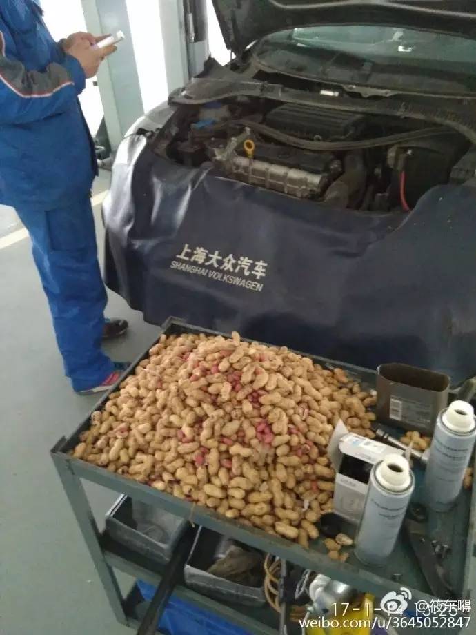 璀︽儠铏氬亣娓告垙,璀︽儠璇堥獥娓告垙