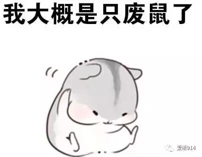 老鼠在车里藏花生嗷嗷叫,老鼠在车里藏粮食