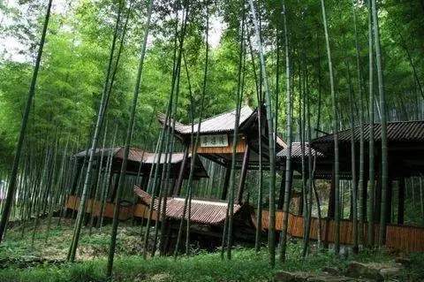 宜兴红茶为啥也叫阳羡茶,宜兴阳羡茶哪家好喝