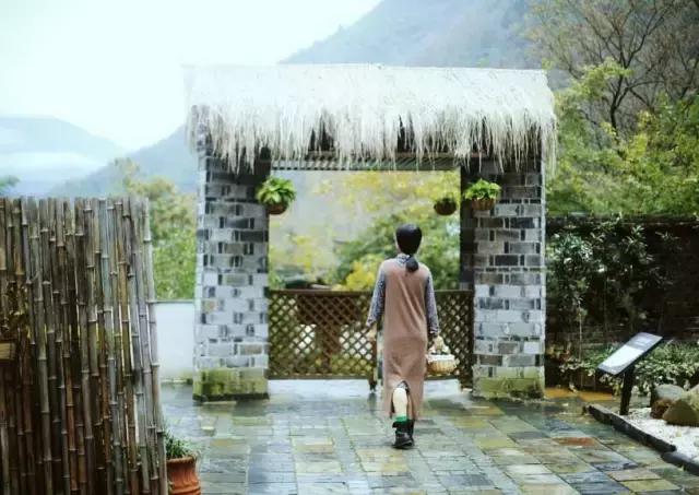 田螺姑娘在水里,水缸里的田螺姑娘