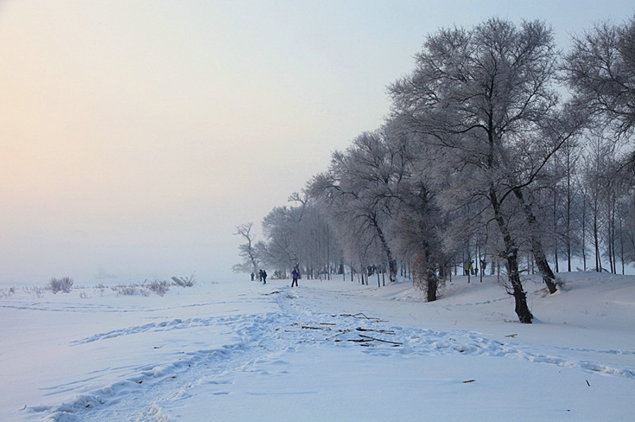 吉林雾凇岛的好看的雾凇倒影图片,吉林雾凇岛和雪谷雾凇岭