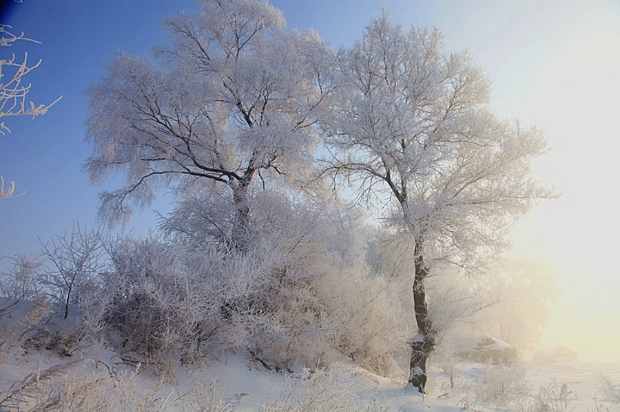 吉林雾凇岛的好看的雾凇倒影图片,吉林雾凇岛和雪谷雾凇岭