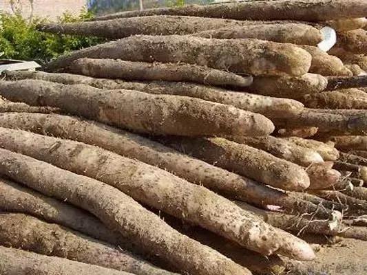 福建汀州土特产,福建零食特产有哪些