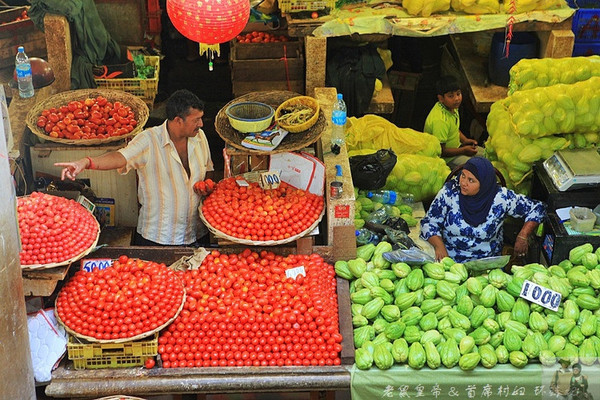 在外国街头演唱中国乐器,在外国街头演奏市集音乐