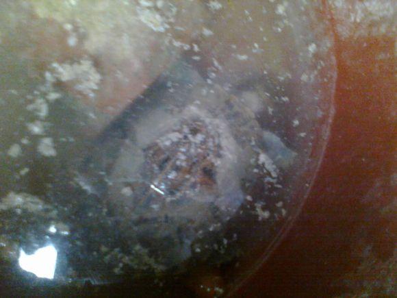 在农村钓鱼用什么虫子,农村钓鱼用什么饵料最好