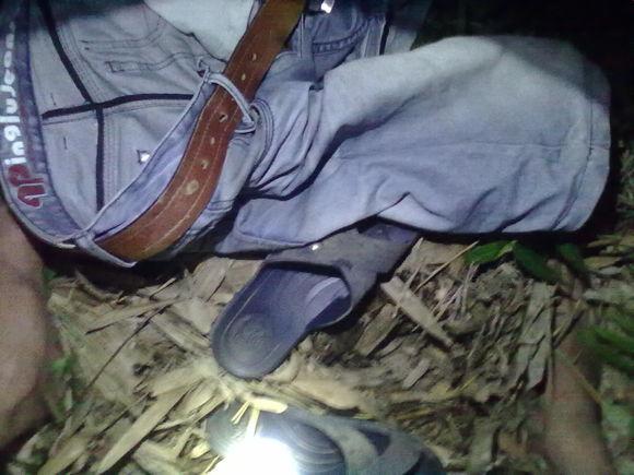 在农村钓鱼用什么虫子,农村钓鱼用什么饵料最好