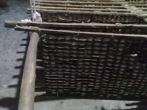 在农村钓鱼用什么虫子,农村钓鱼用什么饵料最好