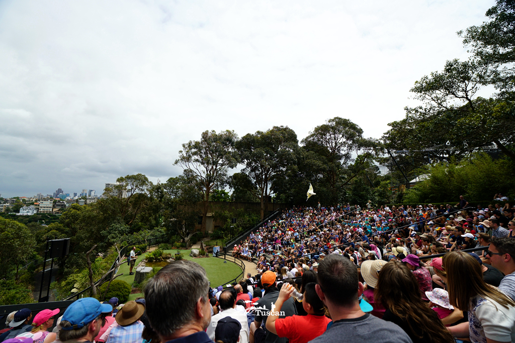 悉尼旅游攻略网红,怎么攻略悉尼