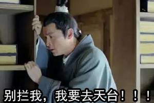 hellokitty真的不是一只猫吗,hellokitty为什么本身不是一只猫