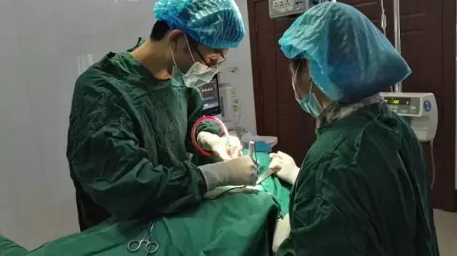 和缓医生是什么,和缓医生怎么样