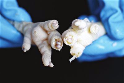 食品添加剂你了解多少?原图对比教你如何辨别有害食品!