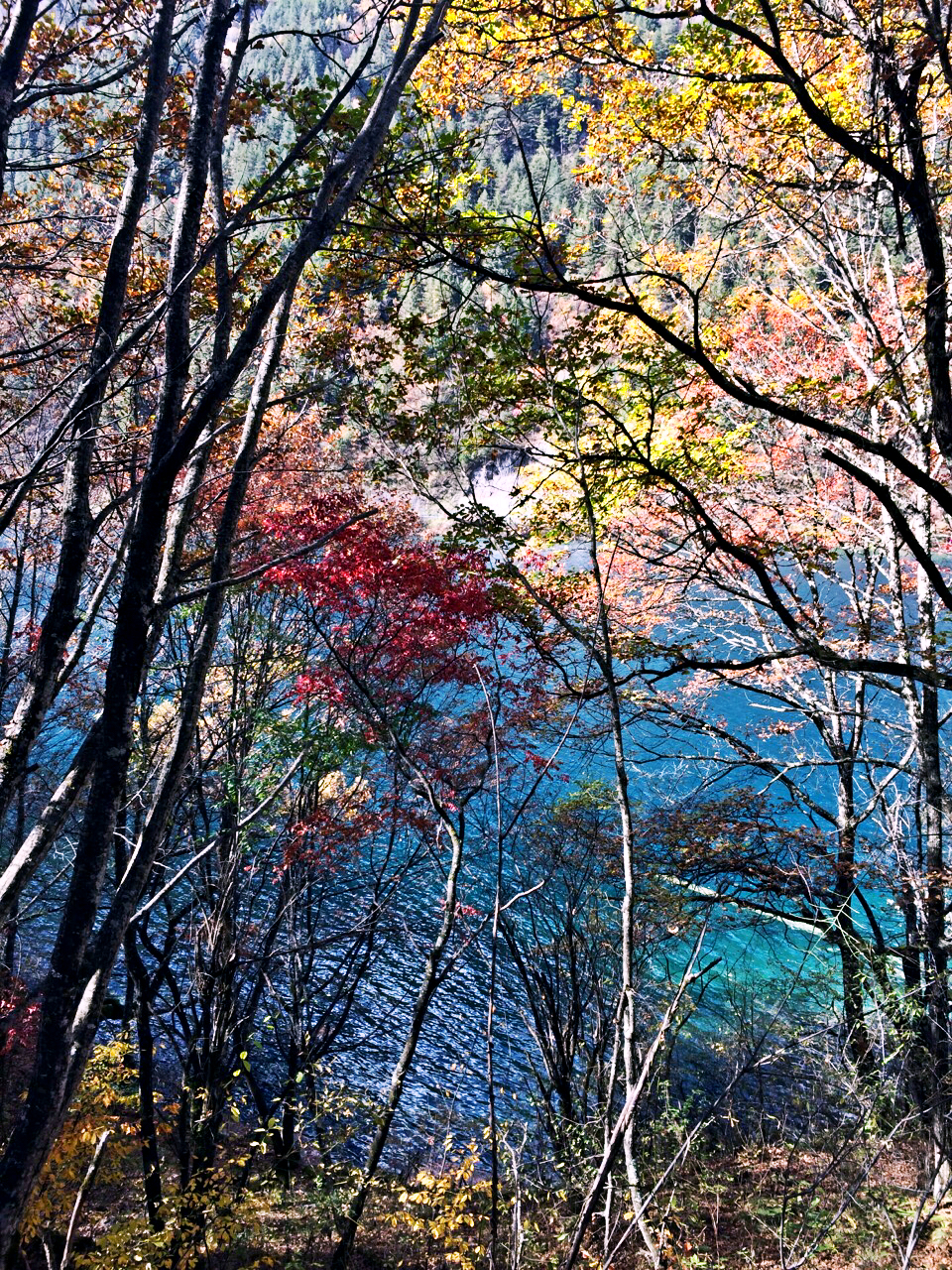 珍藏50张绝美墙纸,花了2000个小时选出十张壁纸