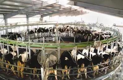 南京的卫岗,南京市卫岗历史