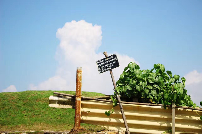 斯里兰卡旅游7天多少钱,去斯里兰卡最便宜方法