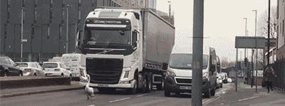 斗地主发牌机多少钱一台,发牌机玩斗地主