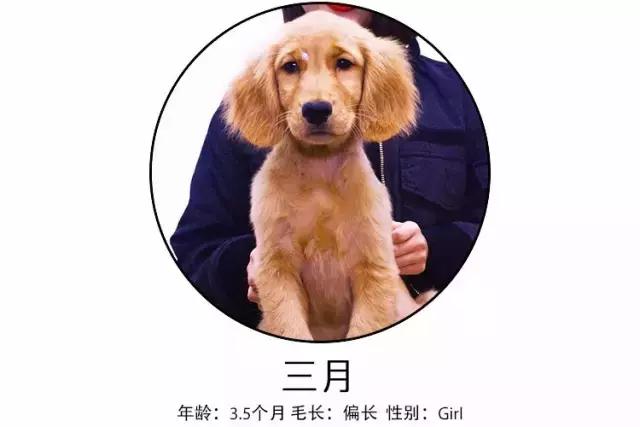 免洗泡沫推荐,免洗泡沫