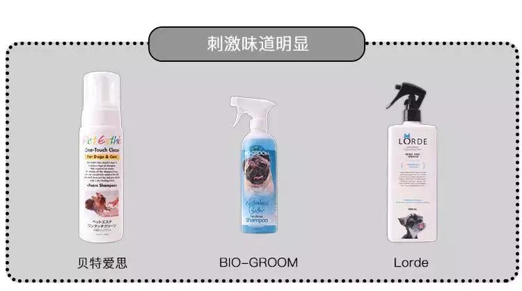 免洗泡沫推荐,免洗泡沫