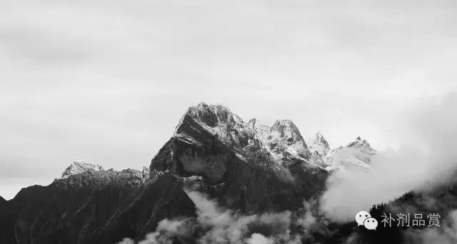 补剂中的防腐剂多吗,补剂的成分有哪些