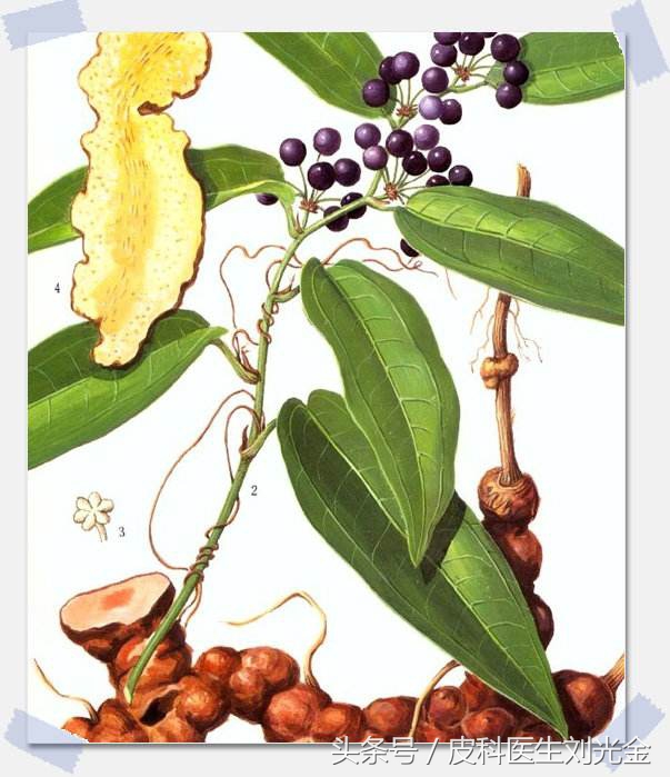 大道至简中医自学,中药治银屑病处方