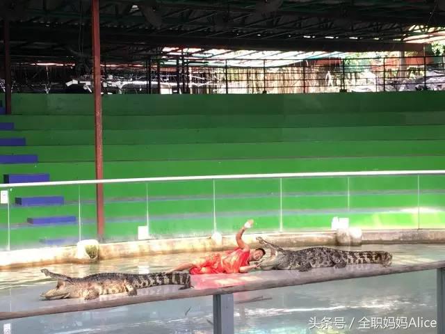 带上宝宝去泰国旅游,泰国旅游带宝贝去哪里