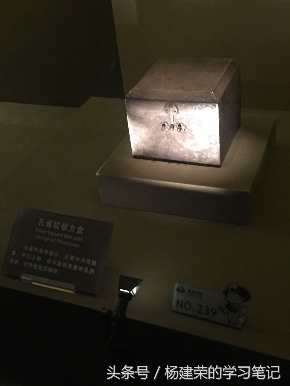 透过历史看历史（r11笔记第54天）