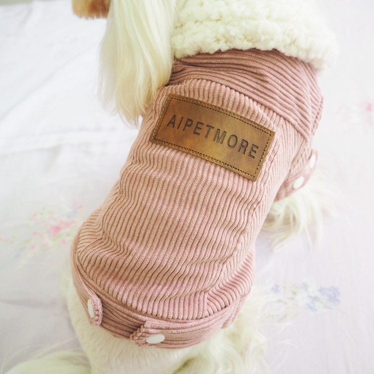 怎么选聪明的狗,怎么选一只性格好的狗狗给孩子