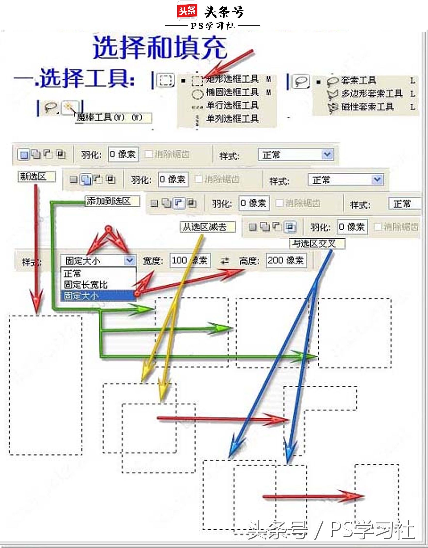 ps入门基础工具必学,ps入门教程零基础工具篇