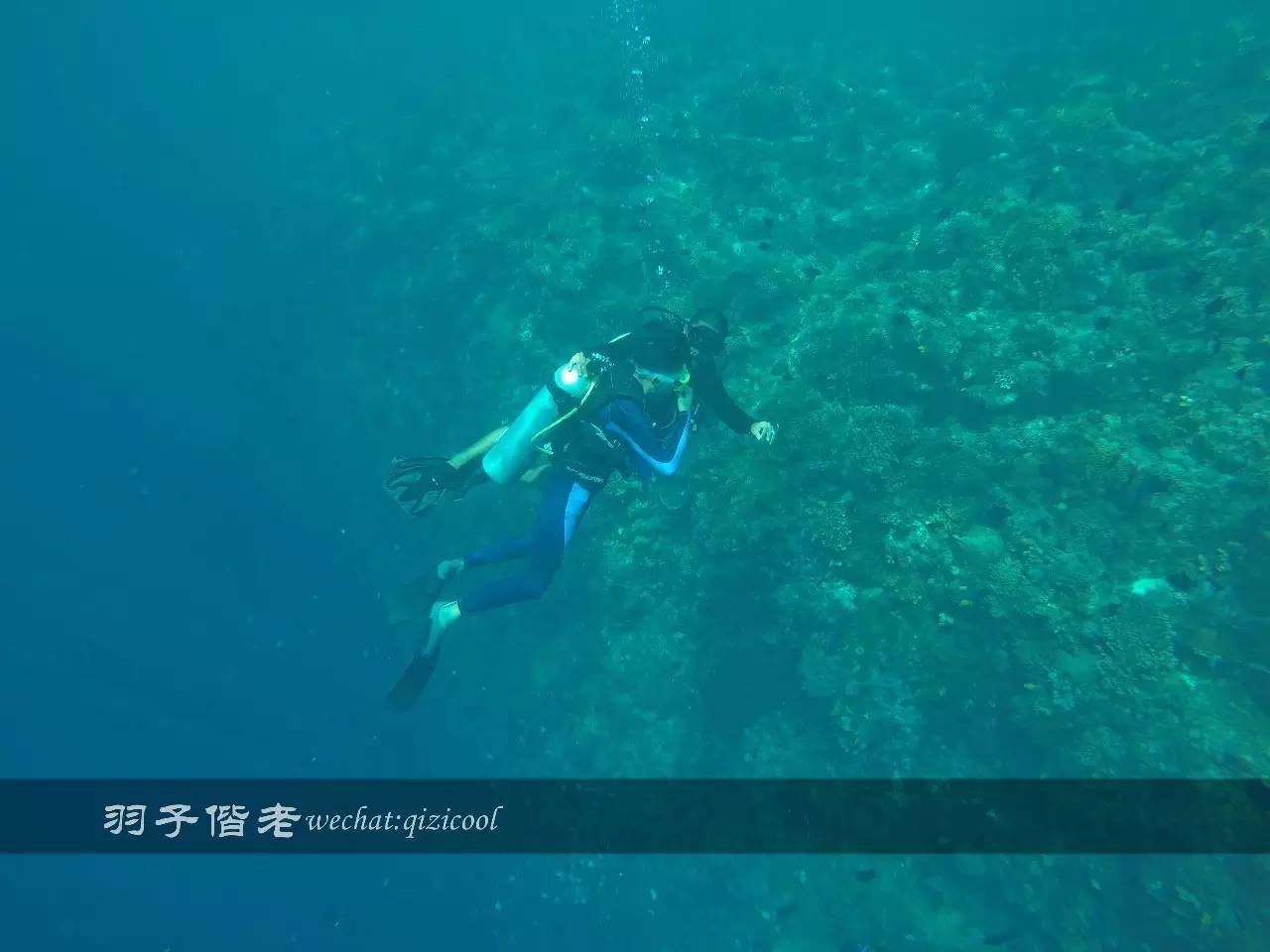 印尼美娜多旅游潜水攻略,印尼美娜多潜水圣地