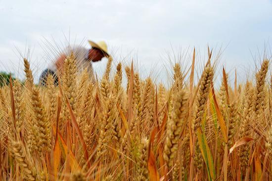 猴年热门的创业生意,新时代赚钱商机